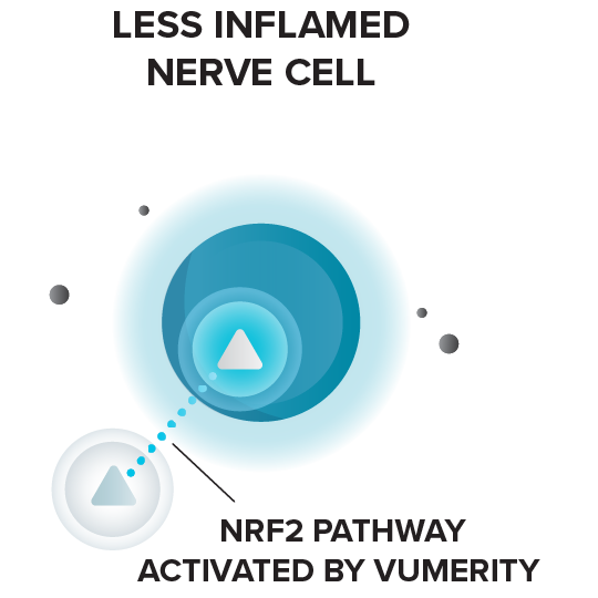 VUMERITY MOA nerve cell with less inflammation