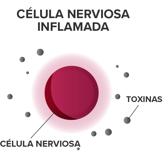 célula nerviosa inflamada con toxinas